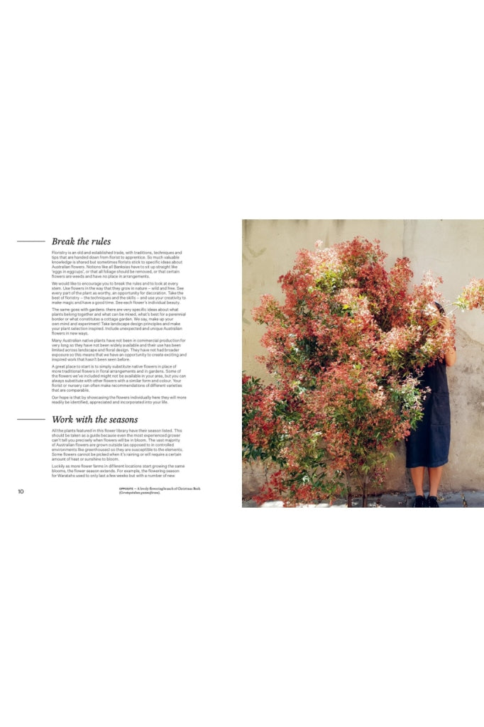 Bush Flowers By Cassandra Hamilton & Michael Pavlou