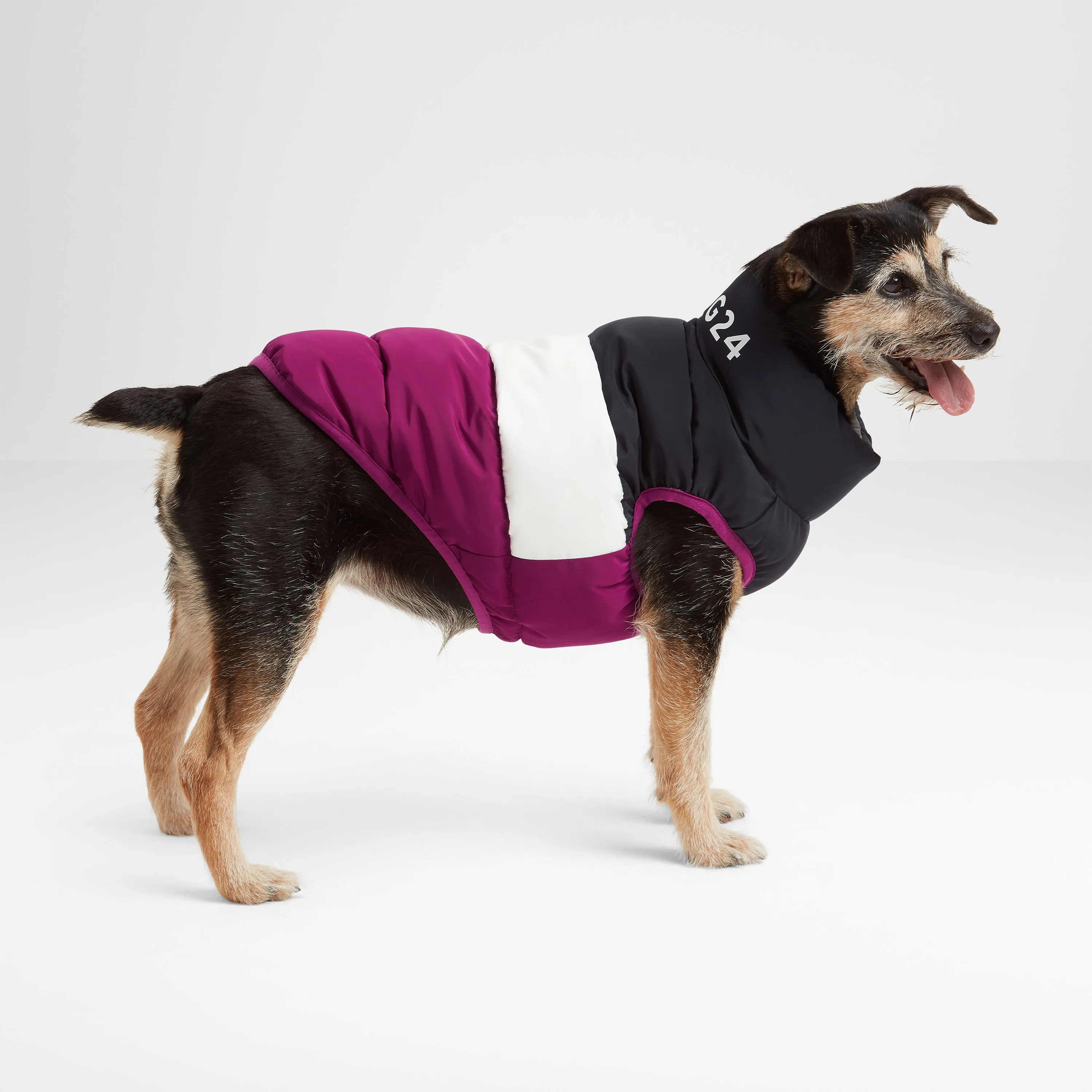 Fetch Padded Dog Coat S - Purple Berry/Dark Indigo/Optic White