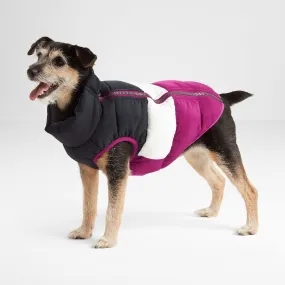 Fetch Padded Dog Coat S - Purple Berry/Dark Indigo/Optic White