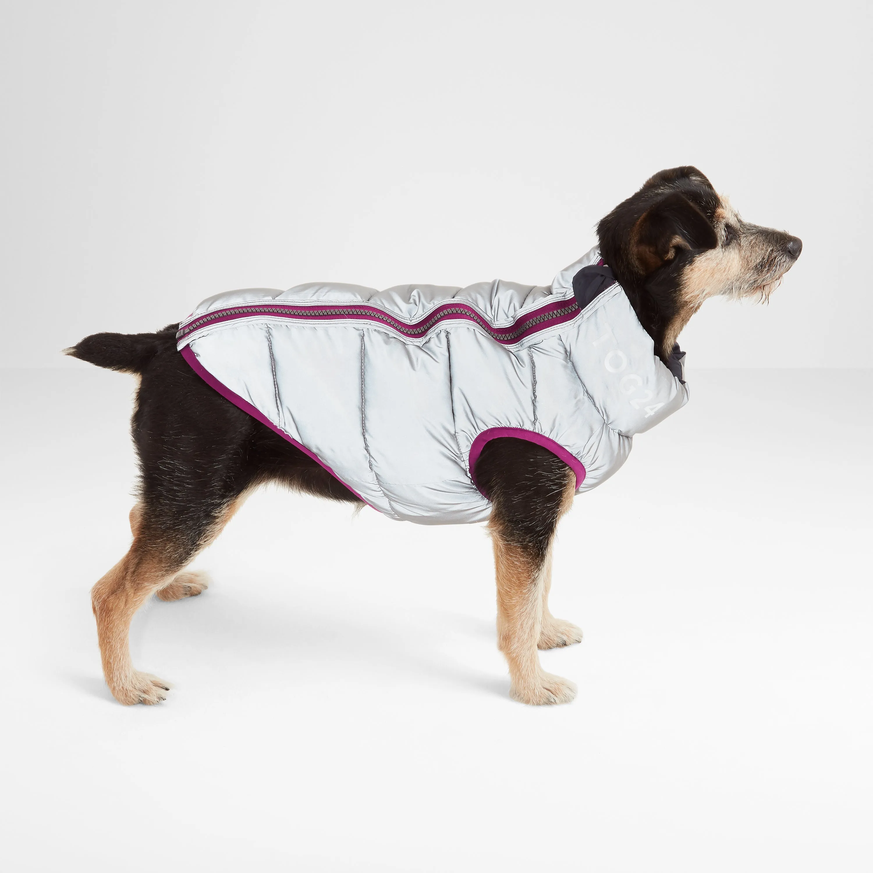 Fetch Padded Dog Coat S - Purple Berry/Dark Indigo/Optic White