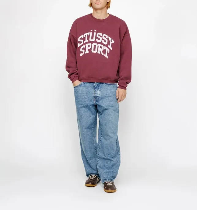 STUSSY  |[STUSSY]★BIG CRACKLE SPORT CREW