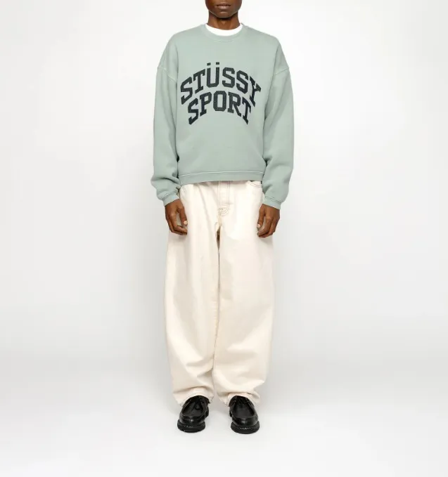 STUSSY  |[STUSSY]★BIG CRACKLE SPORT CREW